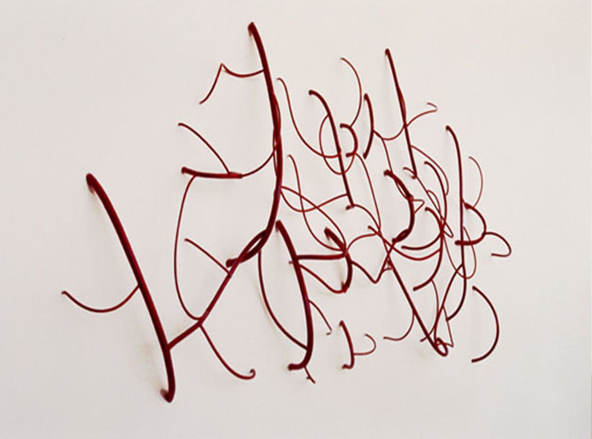 mangueira plástica e barbante | 260 x 240 x 20 cm